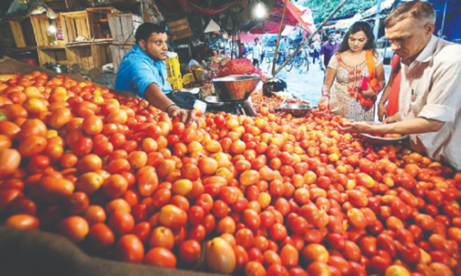 Tomato prices sink to Rs 4/kg amid supply glut: Government