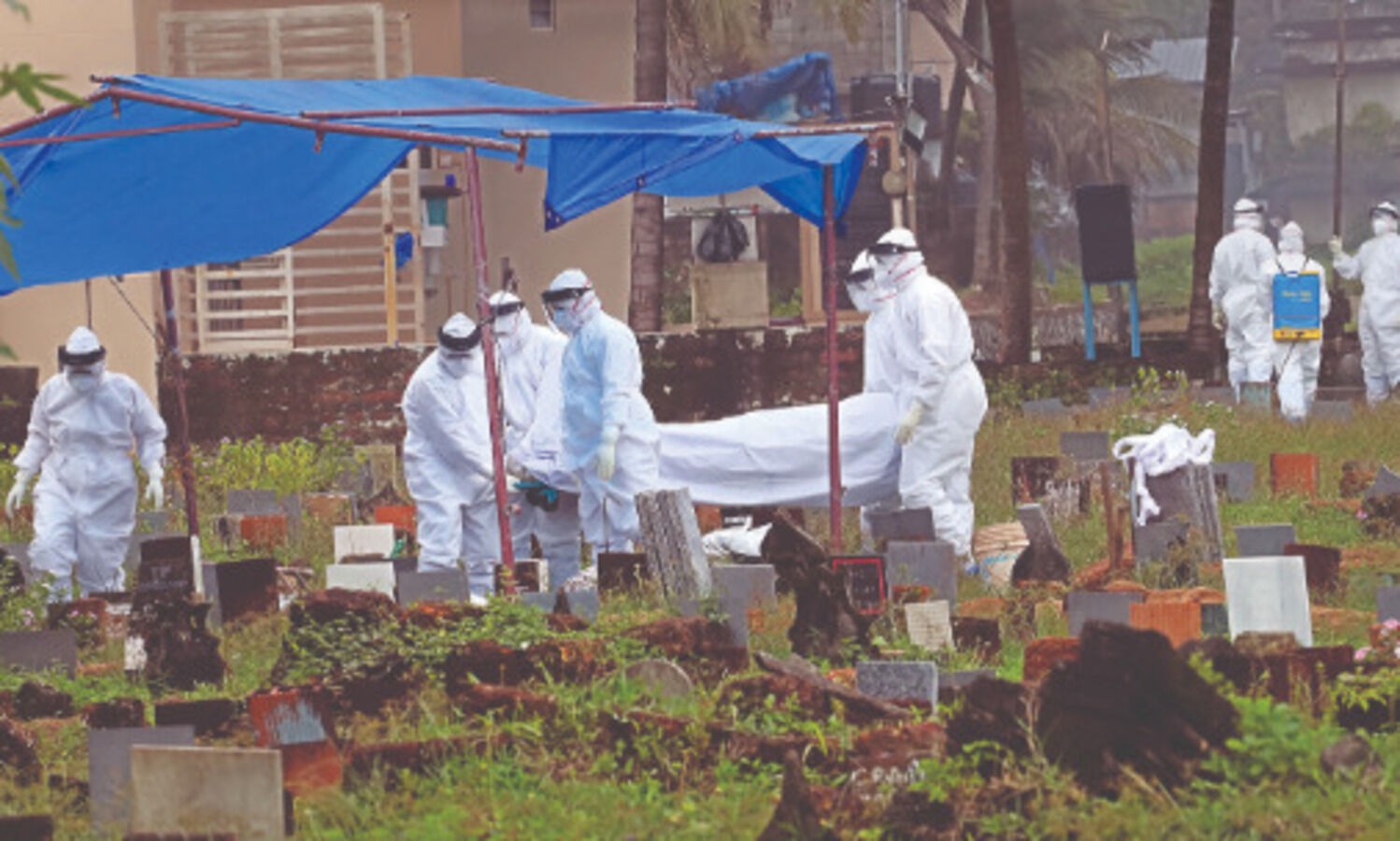 Nipah virus returns to haunt Kerala, 12-year-old boy dies