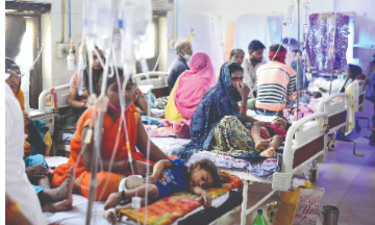 Central team says majority cases of dengue, a few of scrub typhus