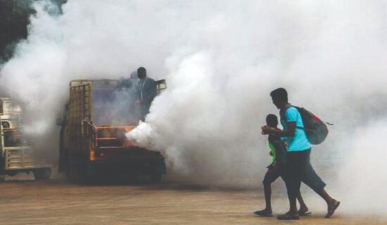 Over 100 dengue cases in city this year, 72 in August