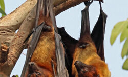 A bigger problem A bigger problem