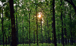 Nexus of Good: Opportunity in crisis