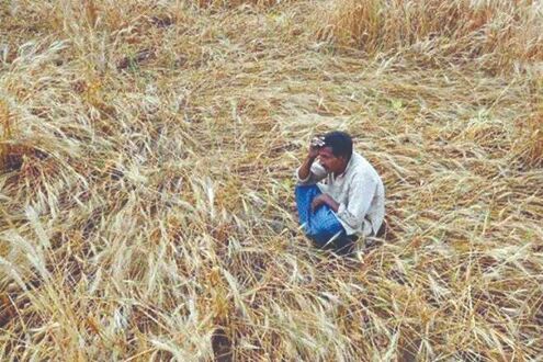 Over 50% agri families in debt in 2019: Survey Over 50% agri families in debt in 2019: Survey