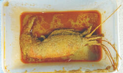 Satiate your Bengali food cravings at Bhojohari Manna Satiate your Bengali food cravings at Bhojohari Manna