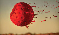 No nigh end No nigh end