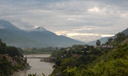 A vital pivot A vital pivot