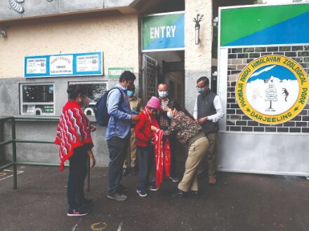After gap of 4 months, Padmaja Naidu & Bengal Safari parks reopen for tourists After gap of 4 months, Padmaja Naidu & Bengal Safari parks reopen for tourists