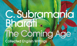 Victimising segregation? Victimising segregation?