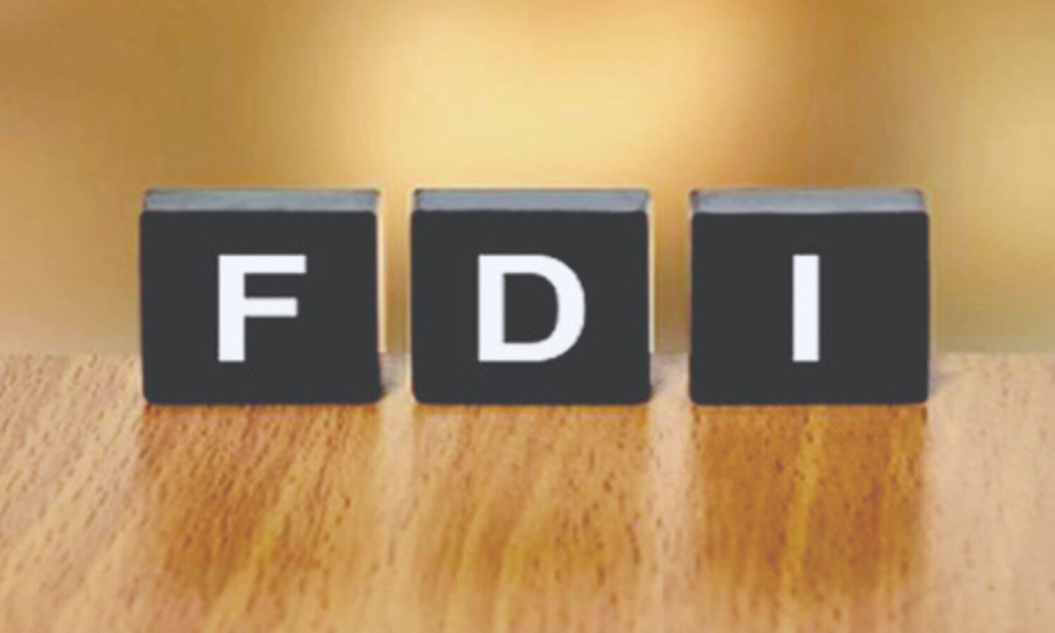 Govt gets max FDI plans from nations sharing land border