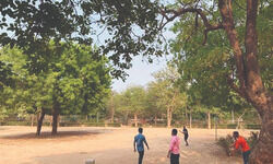South Delhi residents can soon plant trees as gifts for loved ones in 20 SDMC parks South Delhi residents can soon plant trees as gifts for loved ones in 20 SDMC parks