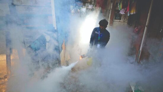 211 dengue cases this year so far,  53 of them reported in last 1 week