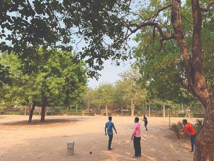 South Delhi residents can soon plant trees as gifts for loved ones in 20 SDMC parks South Delhi residents can soon plant trees as gifts for loved ones in 20 SDMC parks
