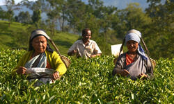 Transformation through vision