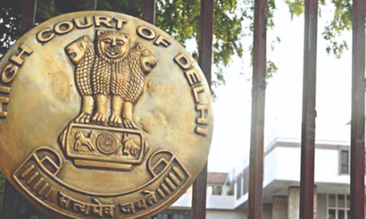 Minority not an absolute bar: HC on teens plea to donate liver to father