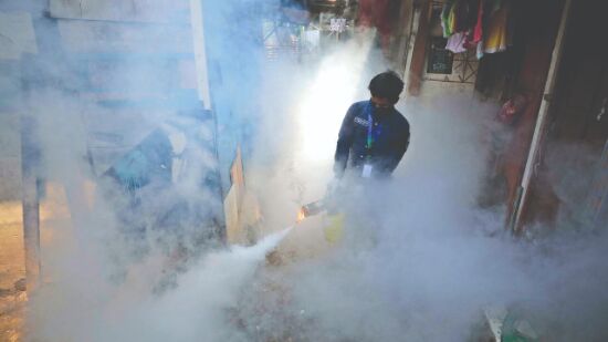 273 dengue cases so far, 149 of them in Sept