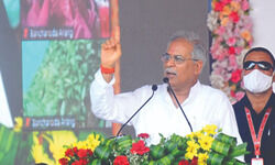 Chhattisgarh to generate electricity from cow dung procured under scheme