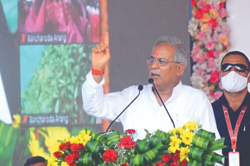 Chhattisgarh to generate electricity from cow dung procured under scheme