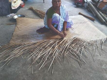 State starts process to seek GI registration for Sitalpati mats of Cooch Behar State starts process to seek GI registration for Sitalpati mats of Cooch Behar