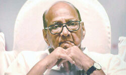 BJP will pay a heavy price, says Sharad Pawar BJP will pay a heavy price, says Sharad Pawar
