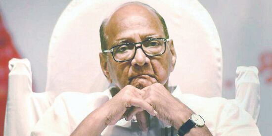 BJP will pay a heavy price, says Sharad Pawar BJP will pay a heavy price, says Sharad Pawar