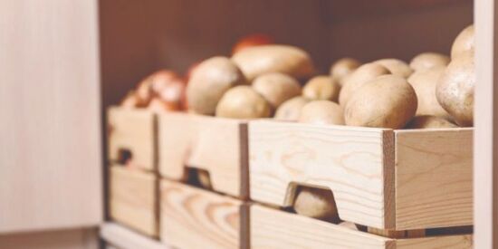 Transport subsidy for inter-state trade, export of potatoes