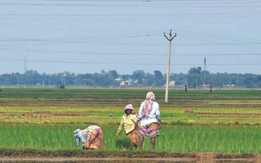 Aid of about Rs 1.8K crore transferred to over 70L farmers Aid of about Rs 1.8K crore transferred to over 70L farmers
