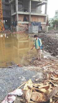 Gappi fish released in water bodies to check dengue, malaria Gappi fish released in water bodies to check dengue, malaria