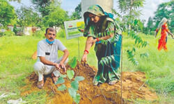 This monsoon, record 5L saplings planted in Ggm