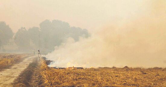 Significant drop in stubble burning in neighbouring states, says Centre Significant drop in stubble burning in neighbouring states, says Centre