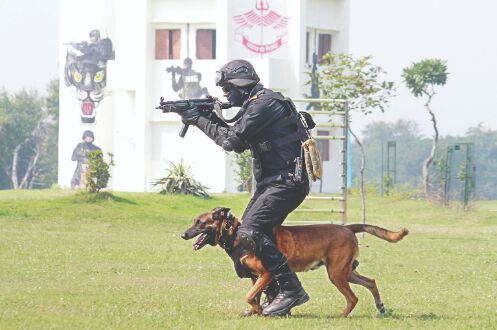NSG deployed to Srinagar, Jammu IAF bases: DG NSG deployed to Srinagar, Jammu IAF bases: DG