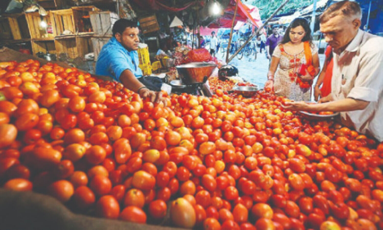 Retail tomato prices skyrocket to Rs 93/kg in metros as unseasonal rains damage crop
