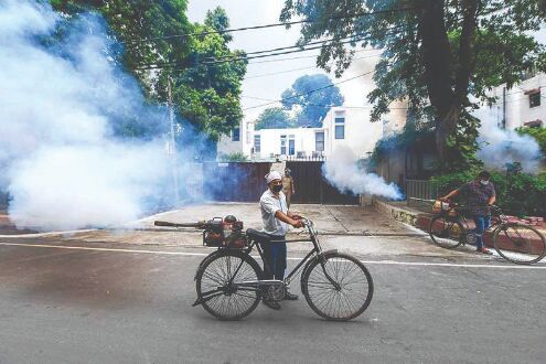 Years first dengue death in S Delhi — tally climbs to 723