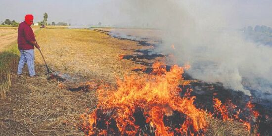 India occupies top spot globally in emissions related to crop burning