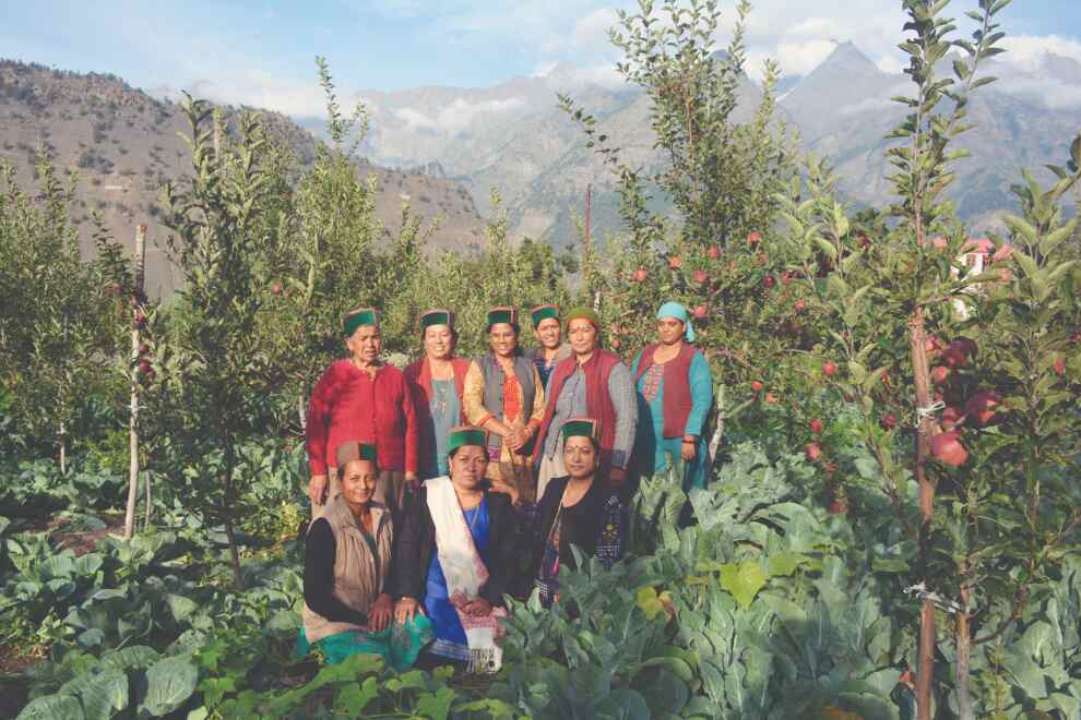 Natural farming: Women in Kinnaur see new hope Natural farming: Women in Kinnaur see new hope
