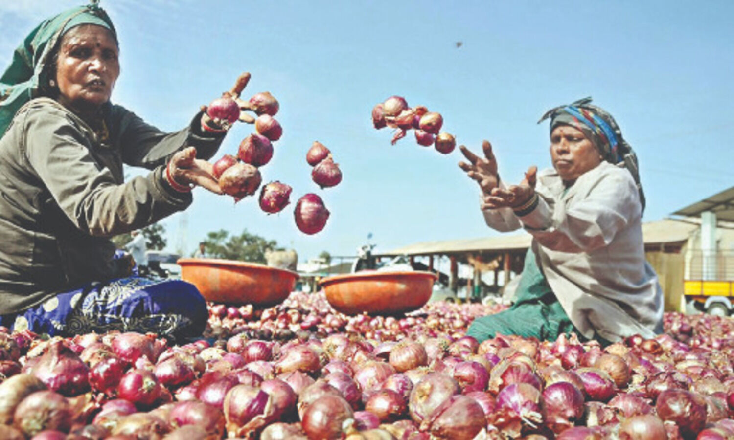 Onion prices not extraordinarily high; no case for banning exports