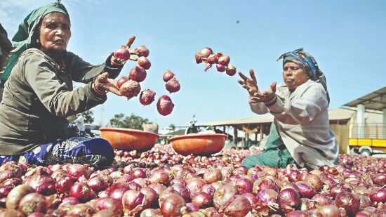 Onion prices not extraordinarily high; no case for banning exports Onion prices not extraordinarily high; no case for banning exports