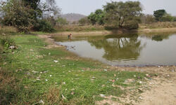 Nexus of Good: Fruitful endeavour