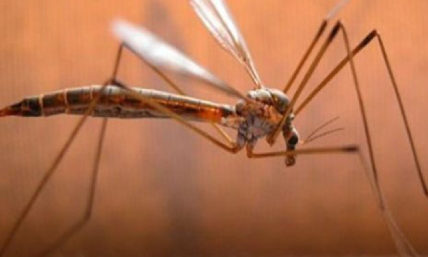 Ten cases of Zika virus confirmed in Kanpur