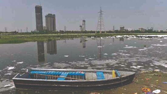 North MCD cannot shift responsibility to others, says NGT on summoning violators