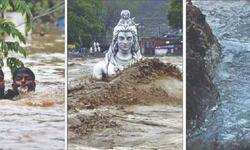 Cant COP-out Cant COP-out