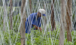 Of matching standards Of matching standards