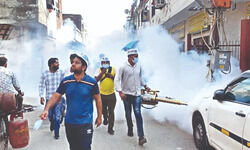 Dengue: Breeding checks down, spending cut in 21 Dengue: Breeding checks down, spending cut in 21