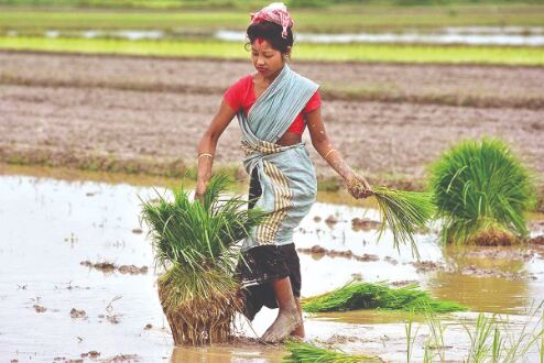 India not signed up to COP26 agenda on sustainable agriculture India not signed up to COP26 agenda on sustainable agriculture