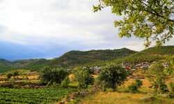 Nations own natural wealth Nations own natural wealth