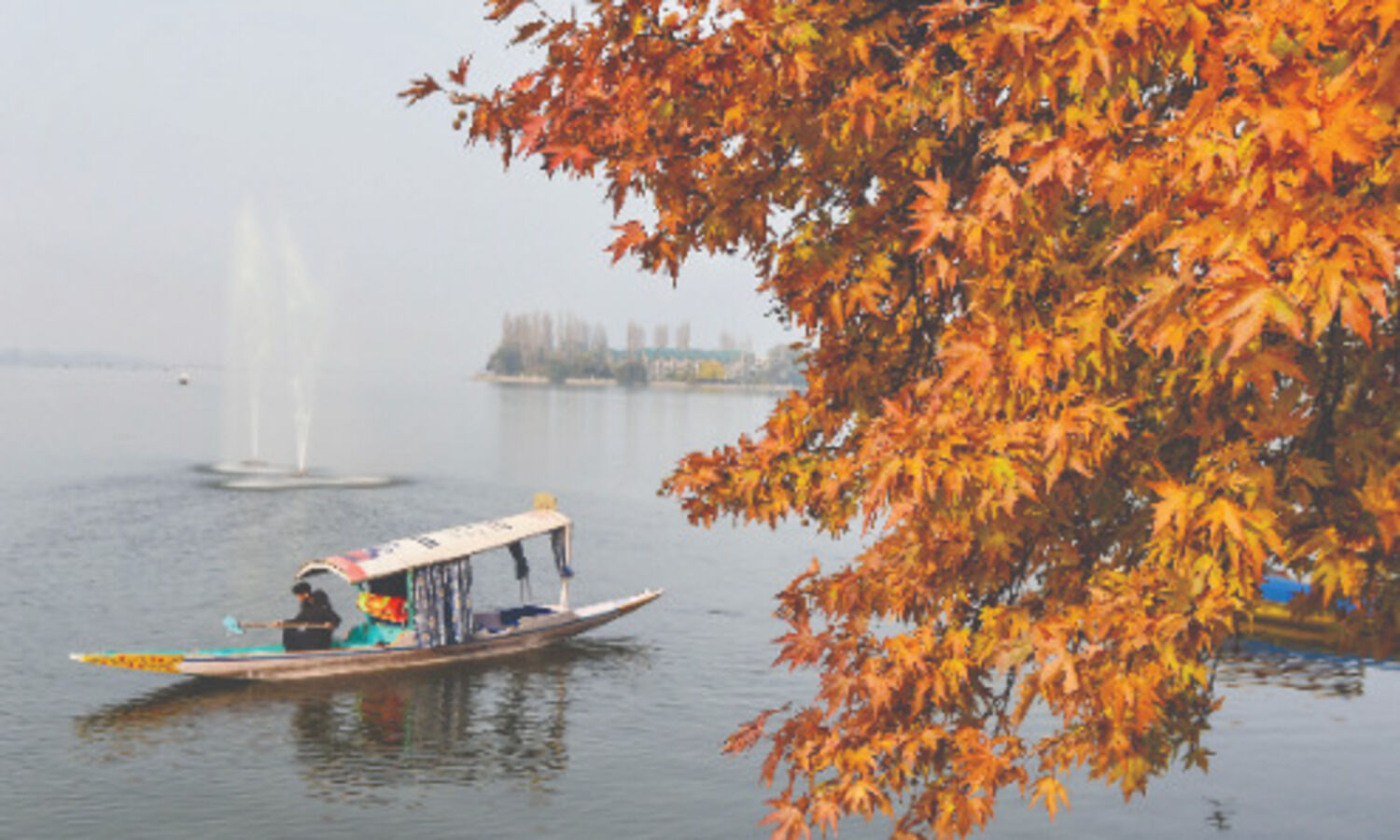 Fog covers parts of Valley; Pahalgam coldest at -3.50C