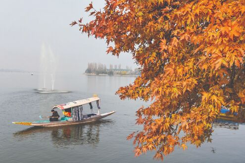 Fog covers parts of Valley; Pahalgam coldest at -3.50C