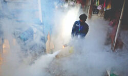 Dengue cases now highest in 6 years, tally crosses 5K Dengue cases now highest in 6 years, tally crosses 5K