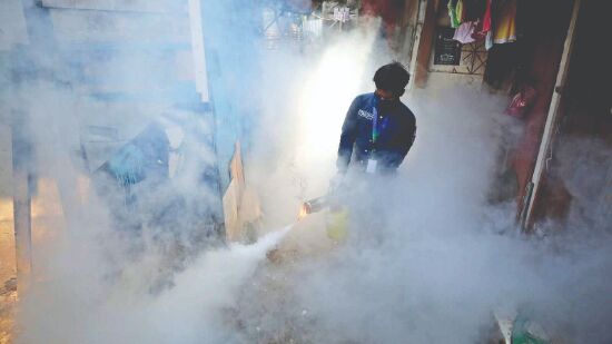 Dengue cases now highest in 6 years, tally crosses 5K Dengue cases now highest in 6 years, tally crosses 5K