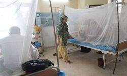 Living with the viruses