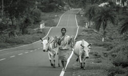 Nexus of Good: The long road